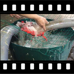 转轮泵,杂物通过性,软杂物切断,硬杂物击碎