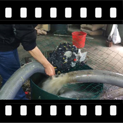 转轮泵,粉碎机构,杂物通过性