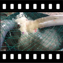 钝刀铡口,粉碎机,软杂物切断,硬杂物击碎,杂物通过性,免过滤