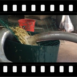 转轮泵,粉碎机构,杂物通过性